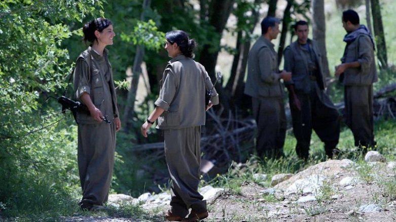 Iran says 12 Kurdish fighters killed in clashes